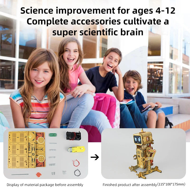 DIY Electric Voice Controlled Robot Puzzle
